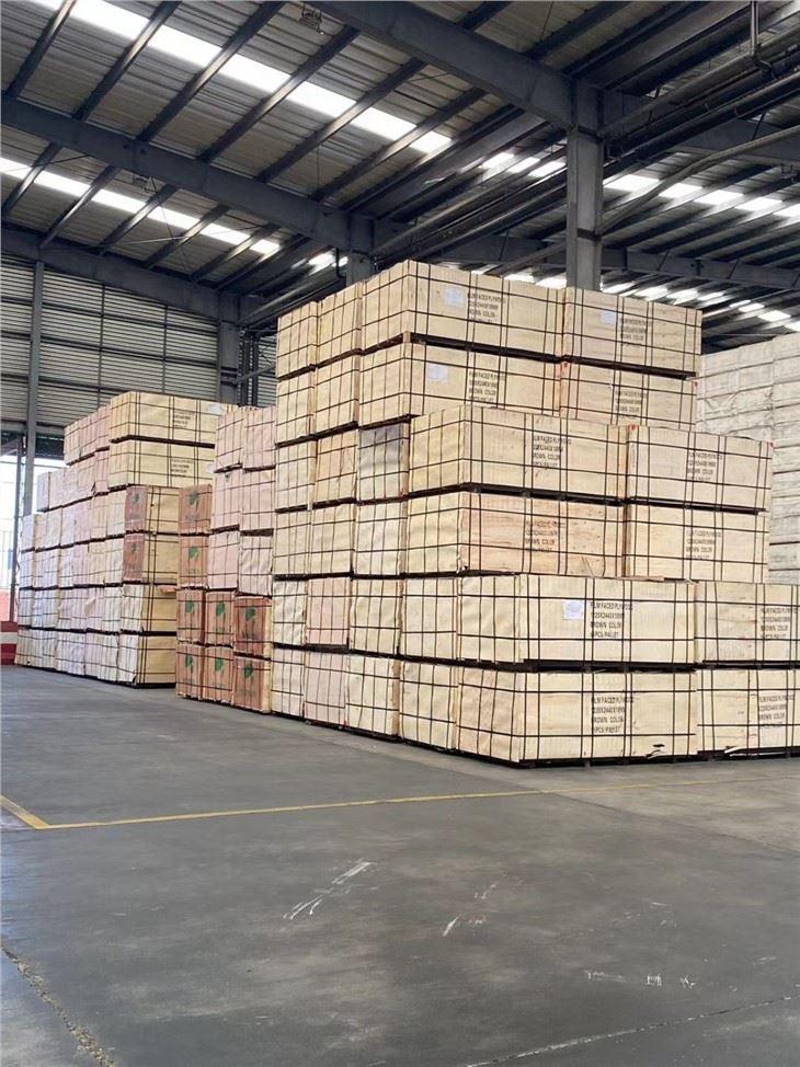 Beton Kalıplarında Plywood Ömrünü Uzatmanın Yolları: Sirkülasyon Sayısı Nasıl Artırılır?